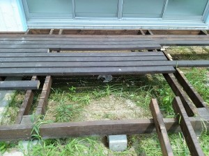 IMG_20170729_110504