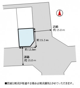 yanaihimeta 1100