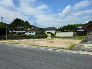 DSC03779222 (1)