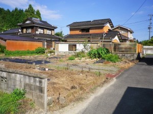 IMGP4351