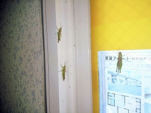 IMG_20170818_211350