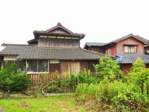 DSC0366722 (1)