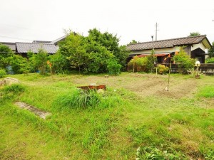 DSC0366722 (2)