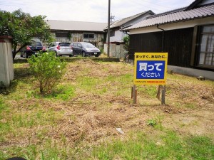 IMGP0881
