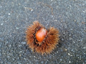 IMG_20170923_114802