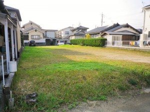 IMGP2472