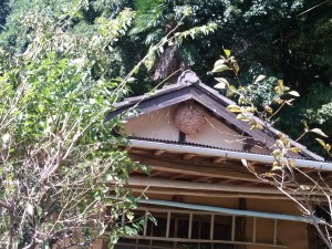 IMG_20170930_133903