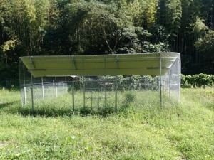 IMG_20170930_164355