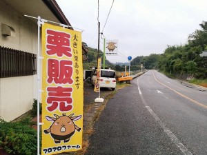 IMG_20171028_203413