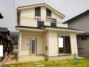 DSC0410355 (1)