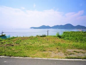 IMGP4549