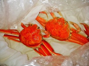 IMG_20171110_210813