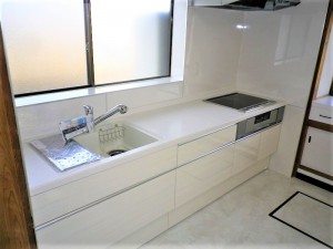 IMGP5228