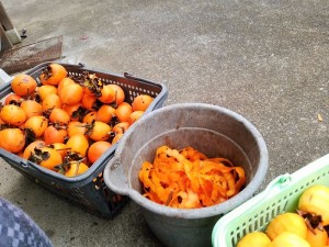 IMG_20171130_133833