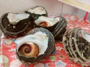 IMG_20171202_161815