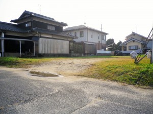 IMGP247022