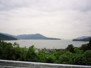 IMGP4408