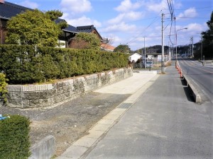IMGP5361