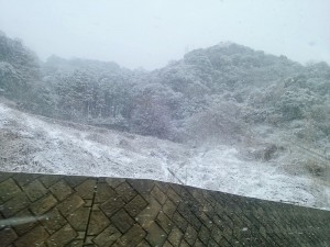 IMG_20180124_1120231