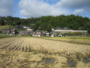 IMG_1183 kore