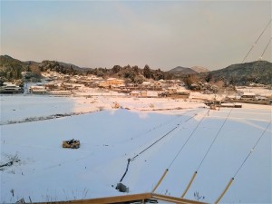 IMG_20180212_073955