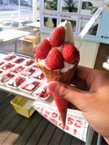 IMG_20180224_150250