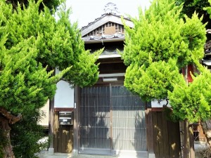 DSC057372323 (1)