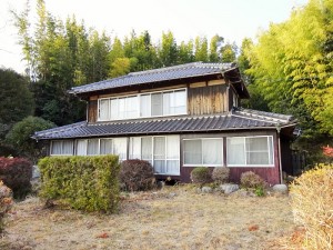 DSC054432323 (1)2
