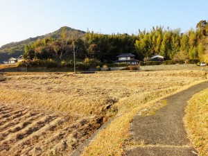 DSC054432323 (3)2