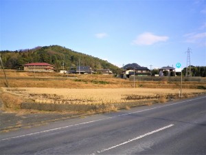 IMGP5327