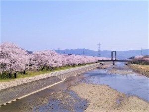 IMG_20180402_125243