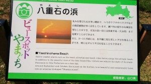 IMG_20180403_113652