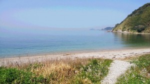 IMG_20180403_113712