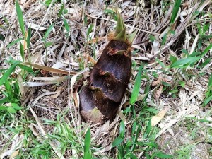 IMG_20180407_141130