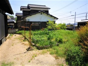 IMGP5958