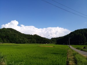 IMG_20180727_161153