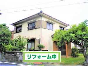 IMGP7115