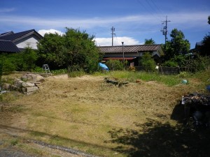 IMGP6951