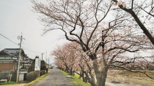 20190330130133_p