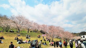 20190331130808_p