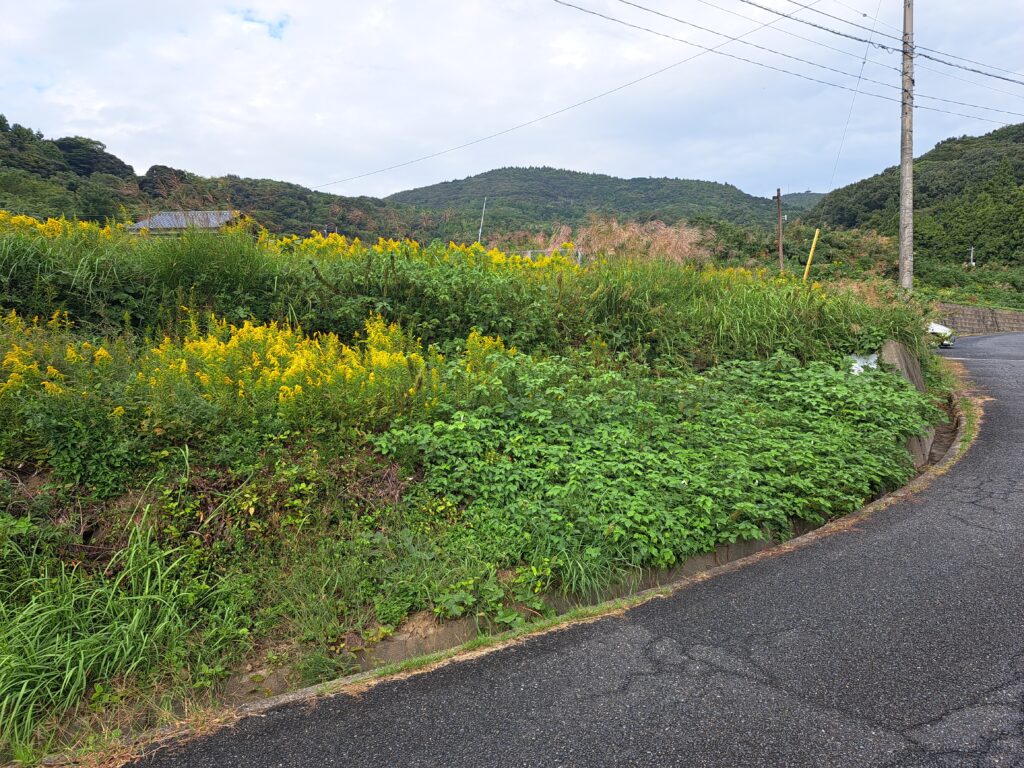 平生町・佐賀 東大田 売土地（769.86坪）農用地