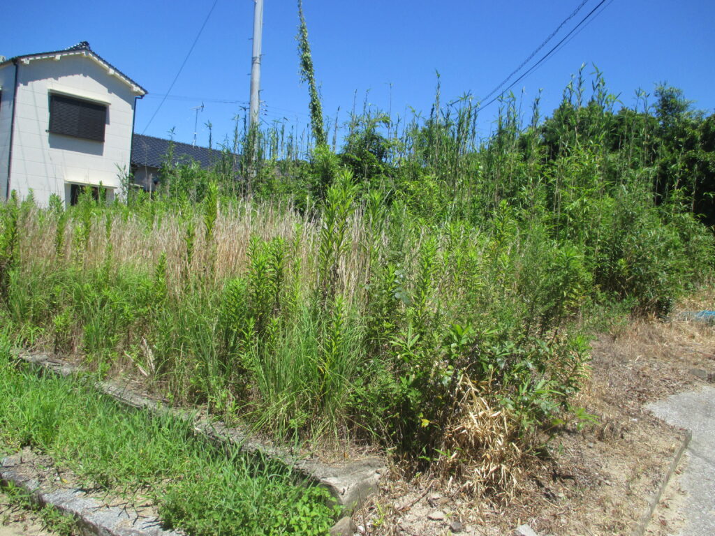 周防大島町・外入  売土地（23.14坪）