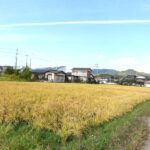 田布施・下田布施 本町団地近く 売土地（730.21坪）