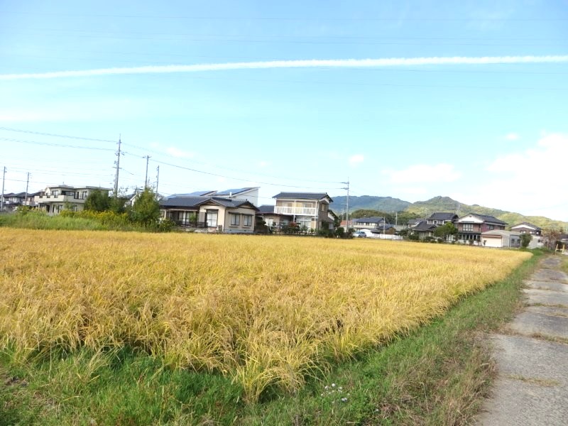 田布施・下田布施 本町団地近く 売土地（1174.21坪）