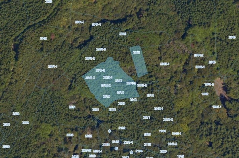 静岡県・浜松市 天竜区 水窪町地頭方 売土地（11521.8坪）
